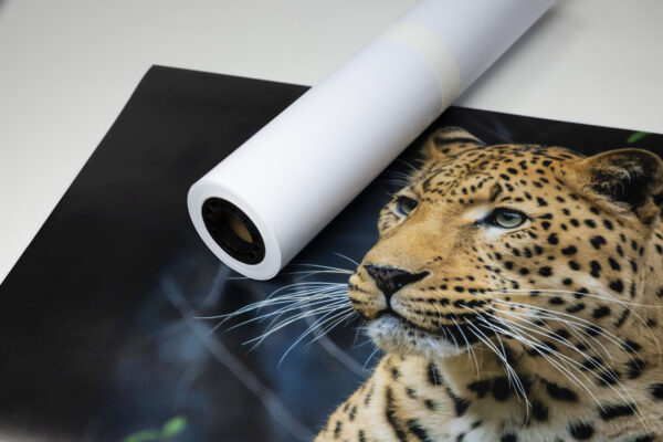 10 Mil Satin Photo Paper - 42" x 100' - Image 2